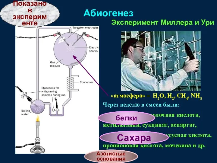 Абиогенез «атмосфера» – H2O, H2, CH4, NH3 Эксперимент Миллера и Ури