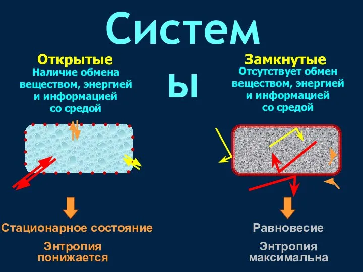 Отсутствует обмен веществом, энергией и информацией со средой Наличие обмена веществом,