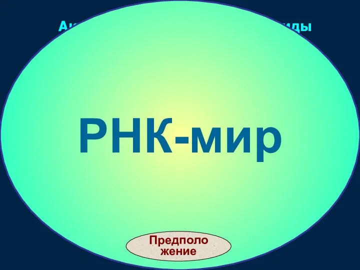 РНК Активированныe рибонуклеотиды РНК-мир Предположение