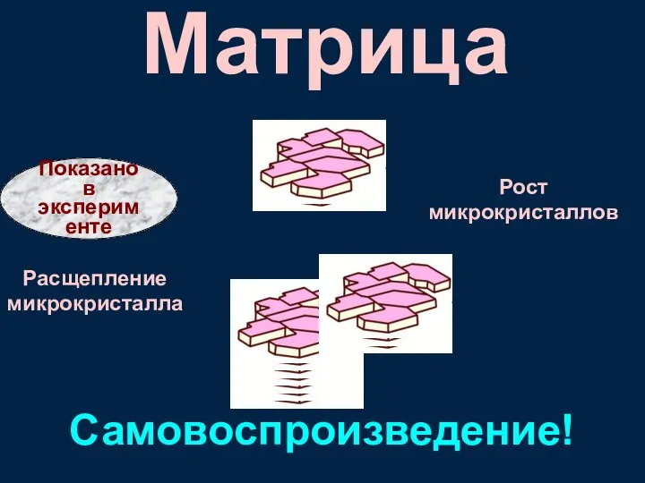 Самовоспроизведение! Расщепление микрокристалла Рост микрокристаллов Матрица Показано в эксперименте