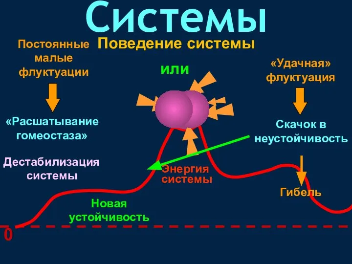 Поведение системы Энергия системы 0 Системы Постоянные малые флуктуации «Расшатывание гомеостаза»