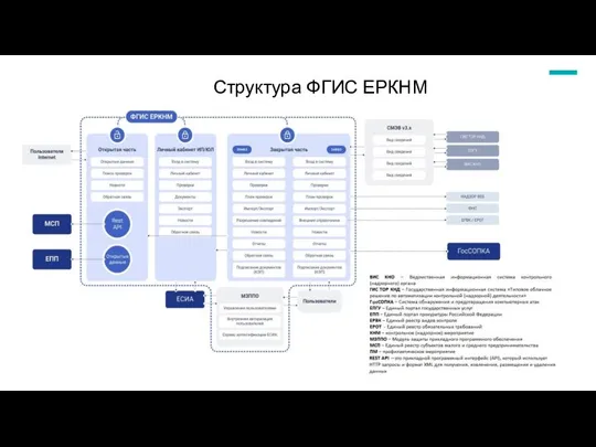 Структура ФГИС ЕРКНМ