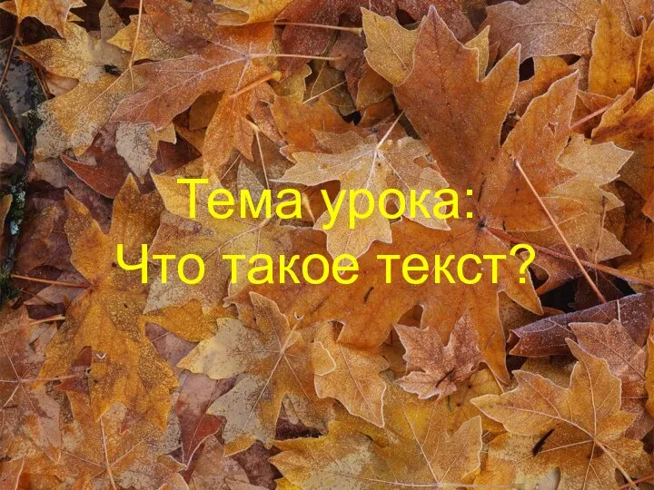 Тема урока: Что такое текст?