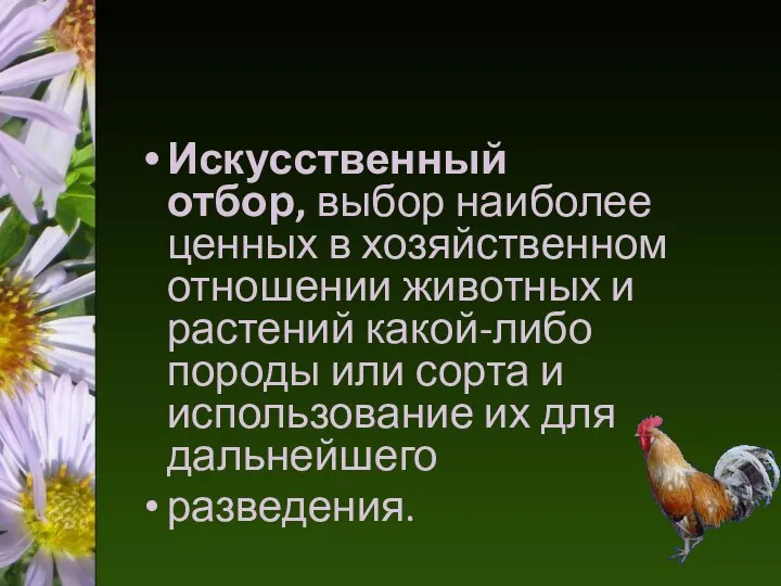 Искусственный отбор, выбор наиболее ценных в хозяйственном отношении животных и растений