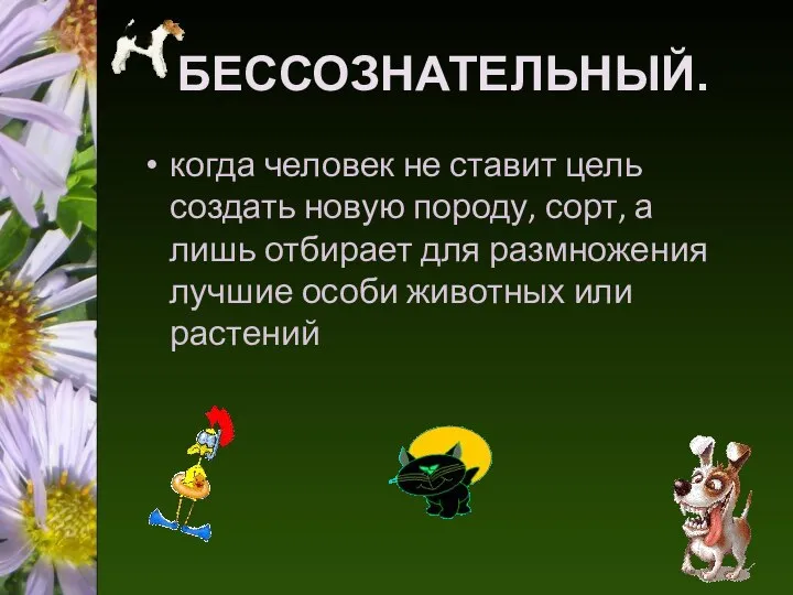 БЕССОЗНАТЕЛЬНЫЙ. когда человек не ставит цель создать новую породу, сорт, а