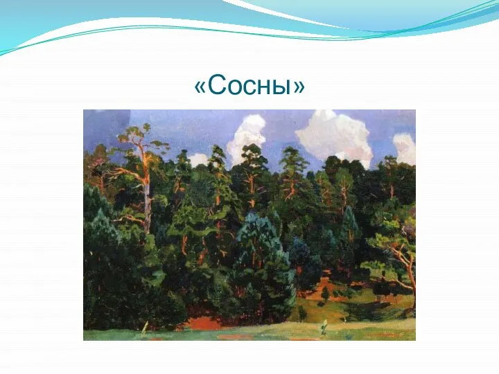 «Сосны»