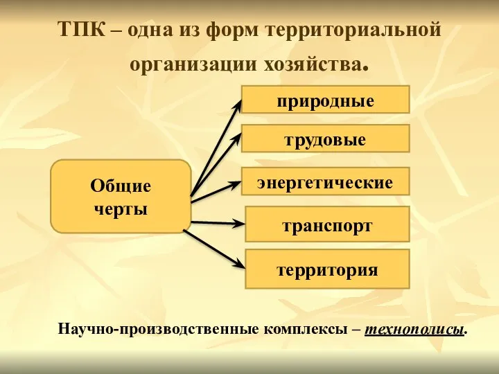 ТПК – одна из форм территориальной организации хозяйства. Общие черты природные