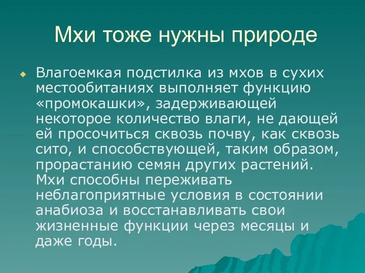 Мхи тоже нужны природе Влагоемкая подстилка из мхов в сухих местообитаниях