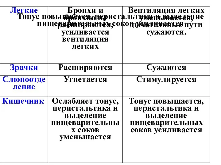 Тонус повышается, перистальтика и выделение пищеварительных соков усиливается