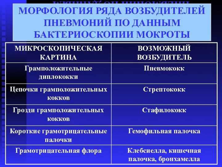 МОРФОЛОГИЯ РЯДА ВОЗБУДИТЕЛЕЙ ПНЕВМОНИЙ ПО ДАННЫМ БАКТЕРИОСКОПИИ МОКРОТЫ МОРФОЛОГИЯ РЯДА ВОЗБУДИТЕЛЕЙ ПНЕВМОНИЙ ПО ДАННЫМ БАКТЕРИОСКОПИИ МОКРОТЫ