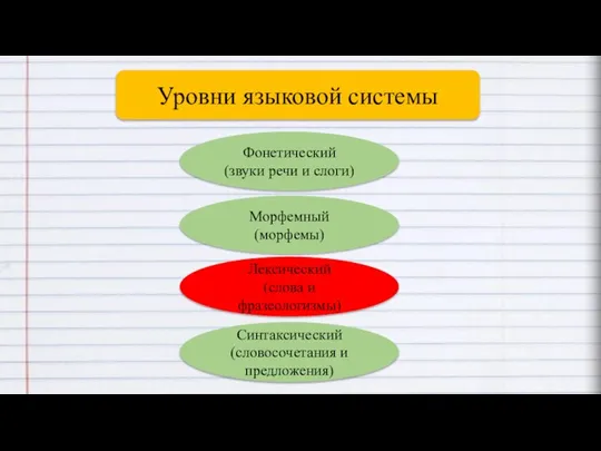 Уровни языковой системы Фонетический (звуки речи и слоги) Синтаксический (словосочетания и