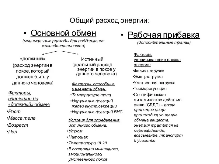 Общий расход энергии: Основной обмен (минимальные расходы для поддержания жизнедеятельности) Рабочая