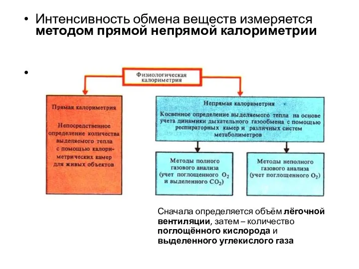 Интенсивность обмена веществ измеряется методом прямой непрямой калориметрии Сначала определяется объём