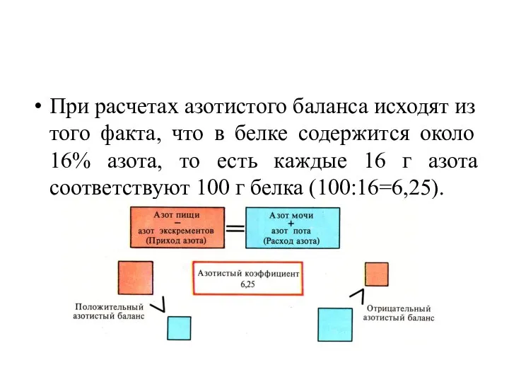 При расчетах азотистого баланса исходят из того факта, что в белке