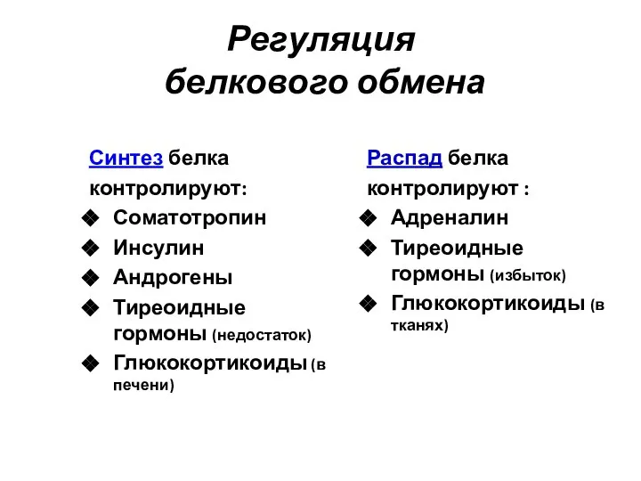 Регуляция белкового обмена Синтез белка контролируют: Соматотропин Инсулин Андрогены Тиреоидные гормоны