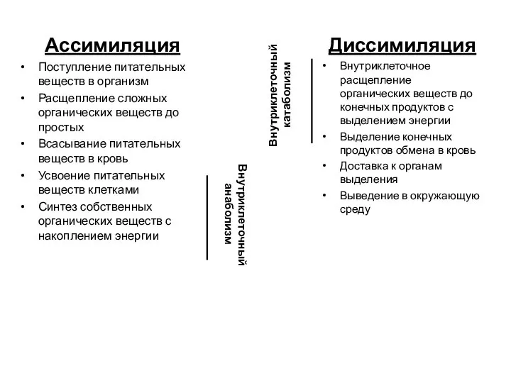 Ассимиляция Поступление питательных веществ в организм Расщепление сложных органических веществ до