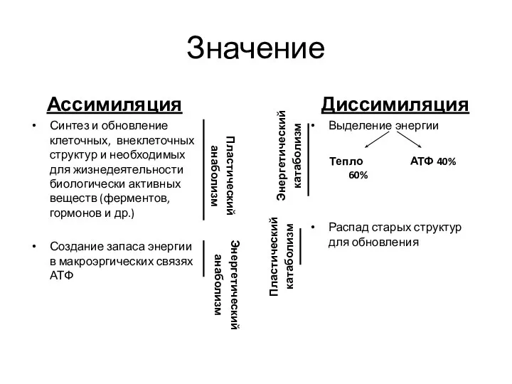 Значение Диссимиляция Выделение энергии Распад старых структур для обновления Ассимиляция Синтез