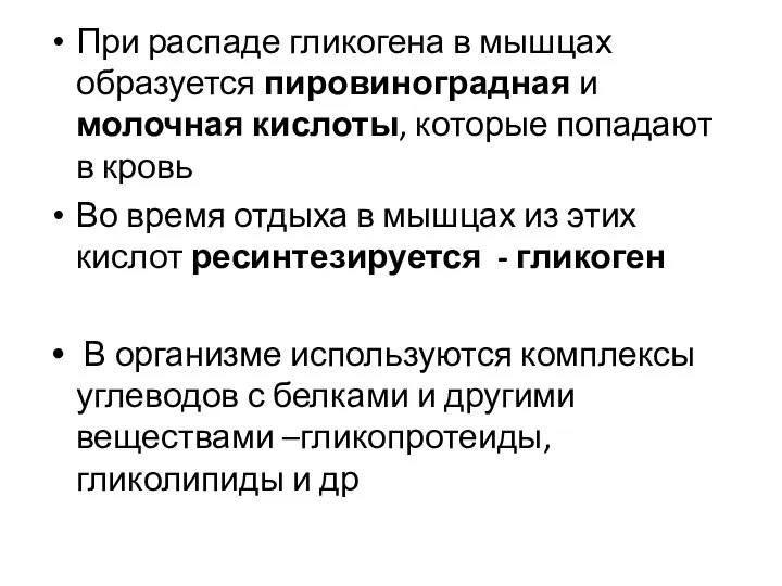 При распаде гликогена в мышцах образуется пировиноградная и молочная кислоты, которые