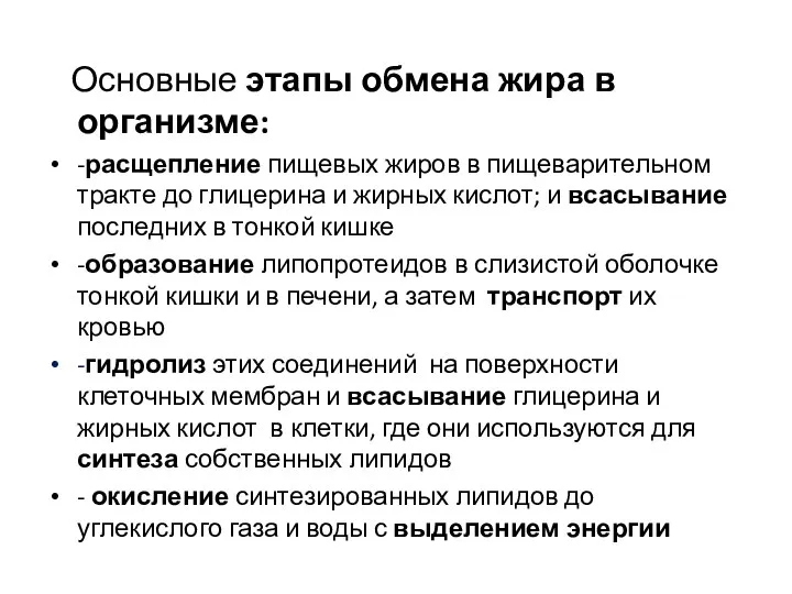 Основные этапы обмена жира в организме: -расщепление пищевых жиров в пищеварительном