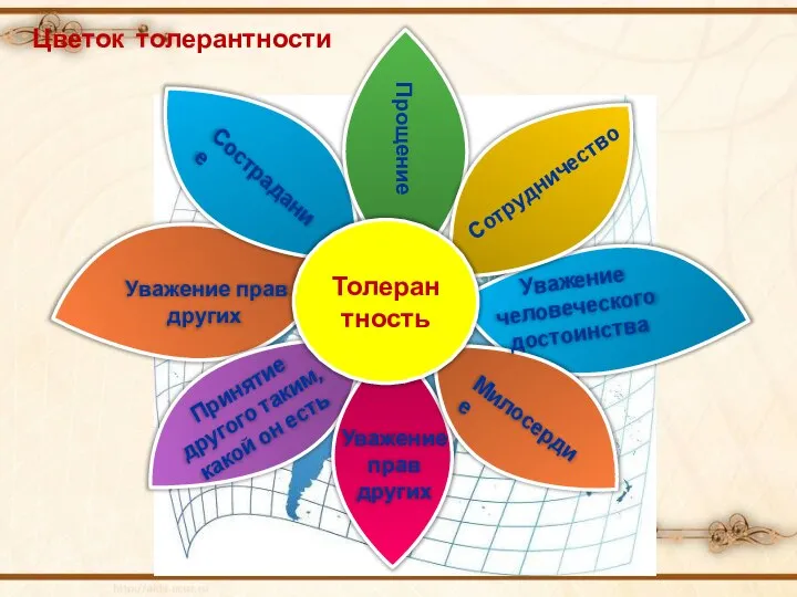 Сотрудничество Прощение Цветок толерантности