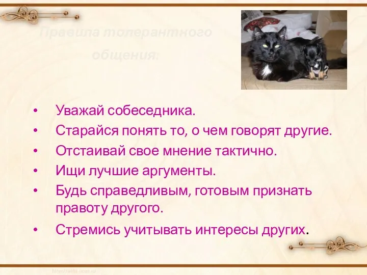 Правила толерантного общения: Уважай собеседника. Старайся понять то, о чем говорят