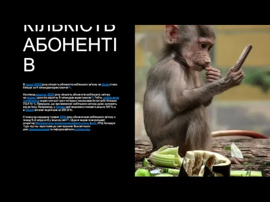 КІЛЬКІСТЬ АБОНЕНТІВ В грудні 2008 року кількість абонентів мобільного зв'язку на