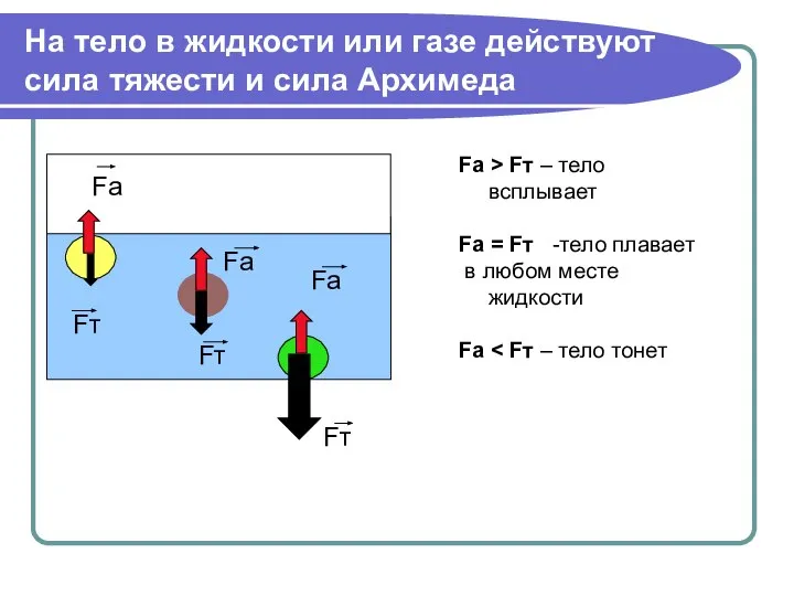 На тело в жидкости или газе действуют сила тяжести и сила