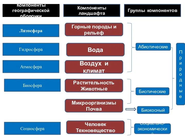 Компоненты географической оболочки Компоненты ландшафта Группы компонентов Литосфера Гидросфера Атмосфера Биосфера