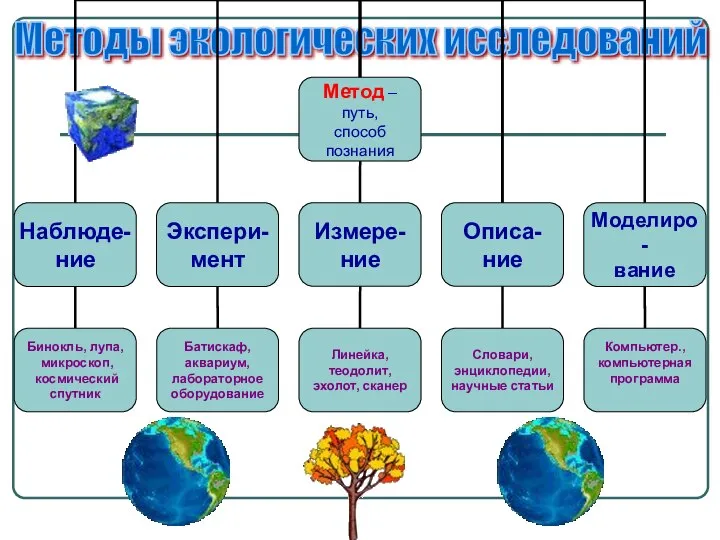 Методы экологических исследований