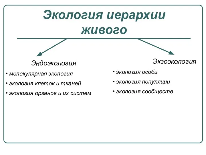 Экология иерархии живого Эндоэкология молекулярная экология экология клеток и тканей экология