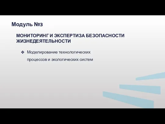 Моделирование технологических процессов и экологических систем Модуль №3 МОНИТОРИНГ И ЭКСПЕРТИЗА БЕЗОПАСНОСТИ ЖИЗНЕДЕЯТЕЛЬНОСТИ