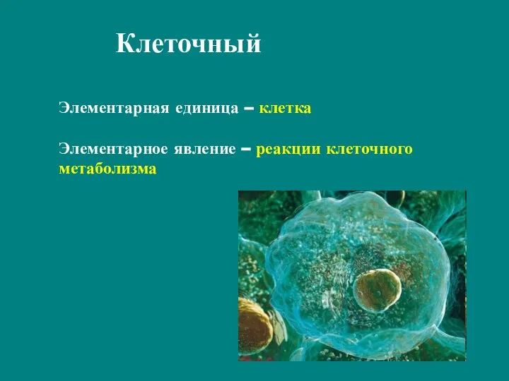 Клеточный Элементарная единица – клетка Элементарное явление – реакции клеточного метаболизма