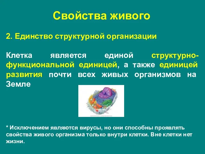 2. Единство структурной организации Клетка является единой структурно-функциональной единицей, а также