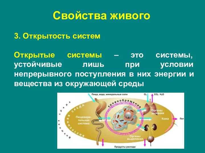 3. Открытость систем Открытые системы – это системы, устойчивые лишь при