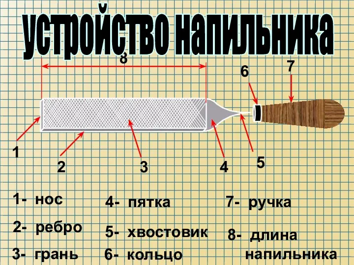 1 2 3 4 5 7 6 8 1- нос 2-