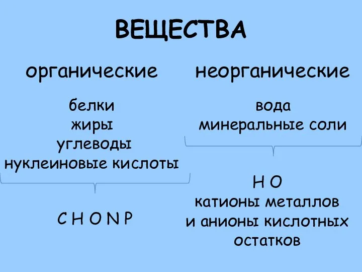 ВЕЩЕСТВА органические неорганические белки жиры углеводы нуклеиновые кислоты вода минеральные соли