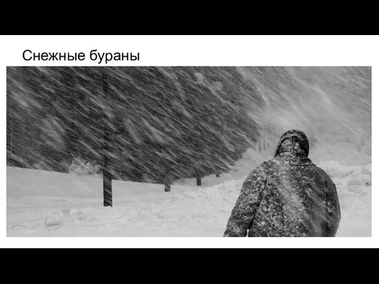 Снежные бураны