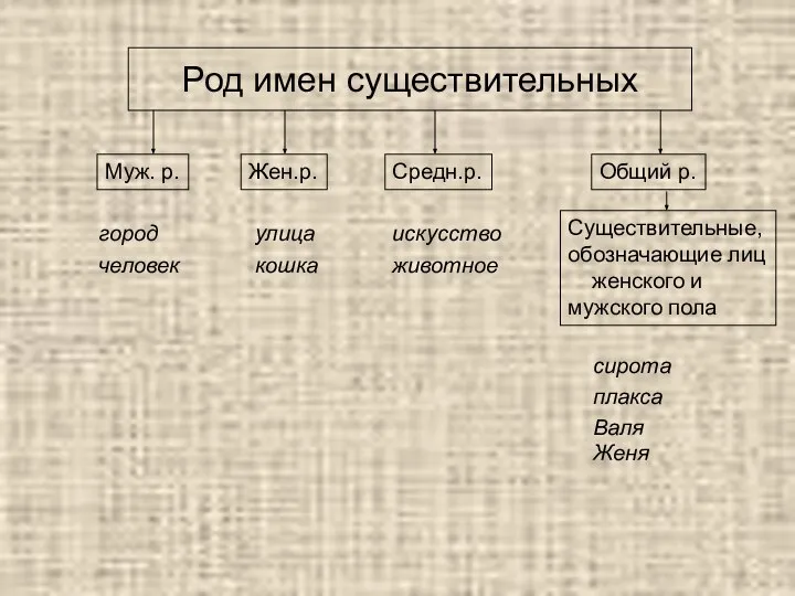 Род имен существительных Муж. р. город человек Жен.р. улица кошка Средн.р.