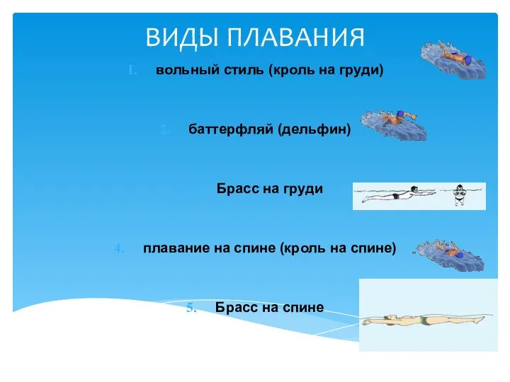 ВИДЫ ПЛАВАНИЯ вольный стиль (кроль на груди) баттерфляй (дельфин) Брасс на