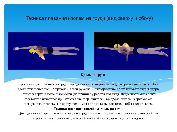 Кроль на груди Кроль – стиль плавания на груди, при движении
