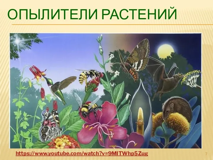 ОПЫЛИТЕЛИ РАСТЕНИЙ https://www.youtube.com/watch?v=9MITWhp5Zug