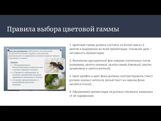 Правила выбора цветовой гаммы 1. Цветовая гамма должна состоять не более