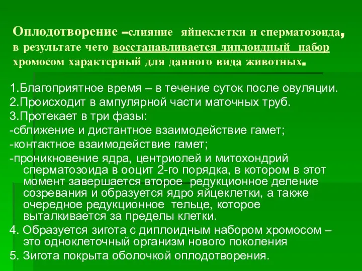 Оплодотворение –слияние яйцеклетки и сперматозоида, в результате чего восстанавливается диплоидный набор