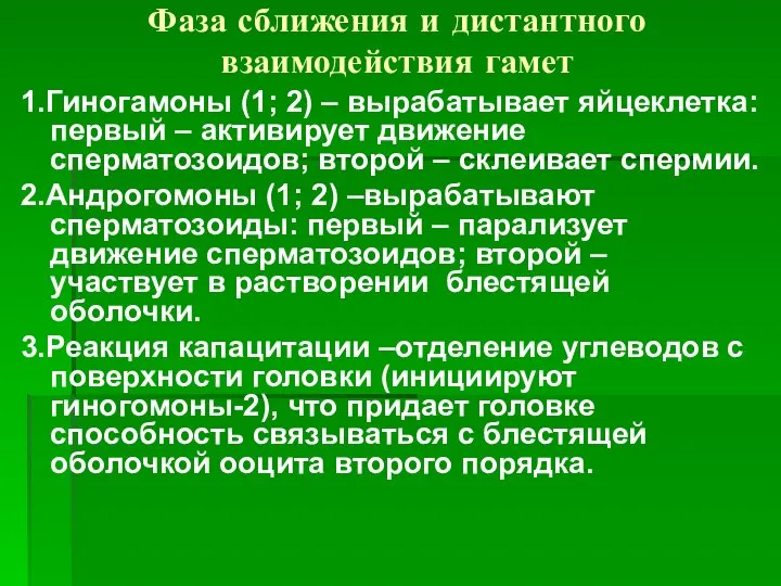 Фаза сближения и дистантного взаимодействия гамет 1.Гиногамоны (1; 2) – вырабатывает