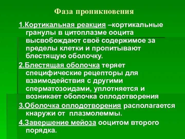 Фаза проникновения 1.Кортикальная реакция –кортикальные гранулы в цитоплазме ооцита высвобождают своё