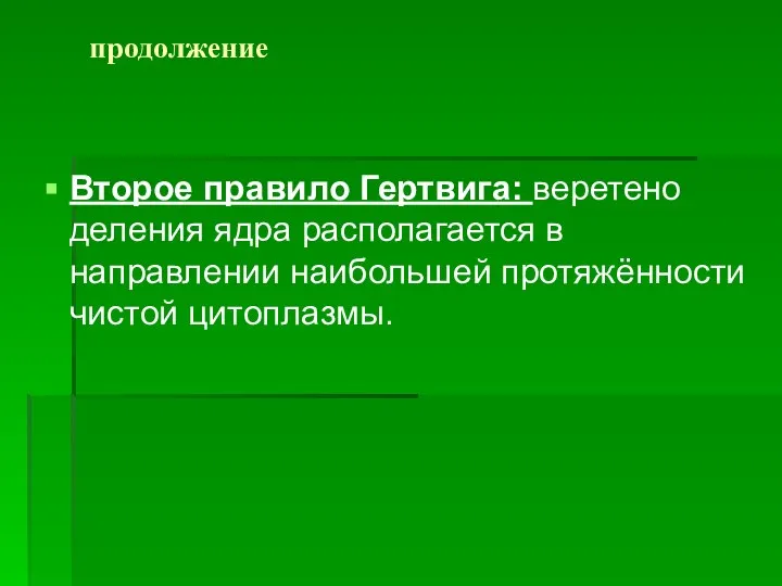 продолжение Второе правило Гертвига: веретено деления ядра располагается в направлении наибольшей протяжённости чистой цитоплазмы.