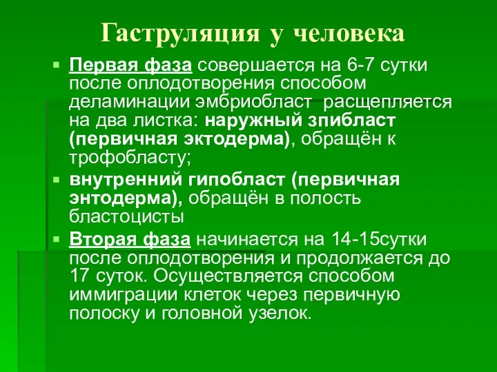 Гаструляция у человека Первая фаза совершается на 6-7 сутки после оплодотворения