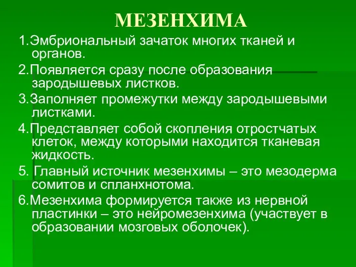 МЕЗЕНХИМА 1.Эмбриональный зачаток многих тканей и органов. 2.Появляется сразу после образования