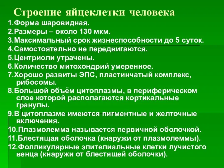 Строение яйцеклетки человека 1.Форма шаровидная. 2.Размеры – около 130 мкм. 3.Максимальный