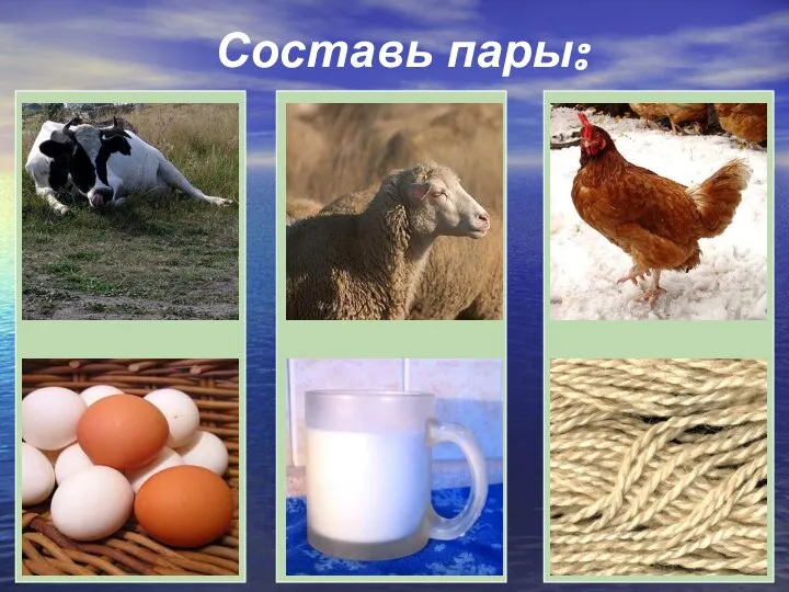 Составь пары: